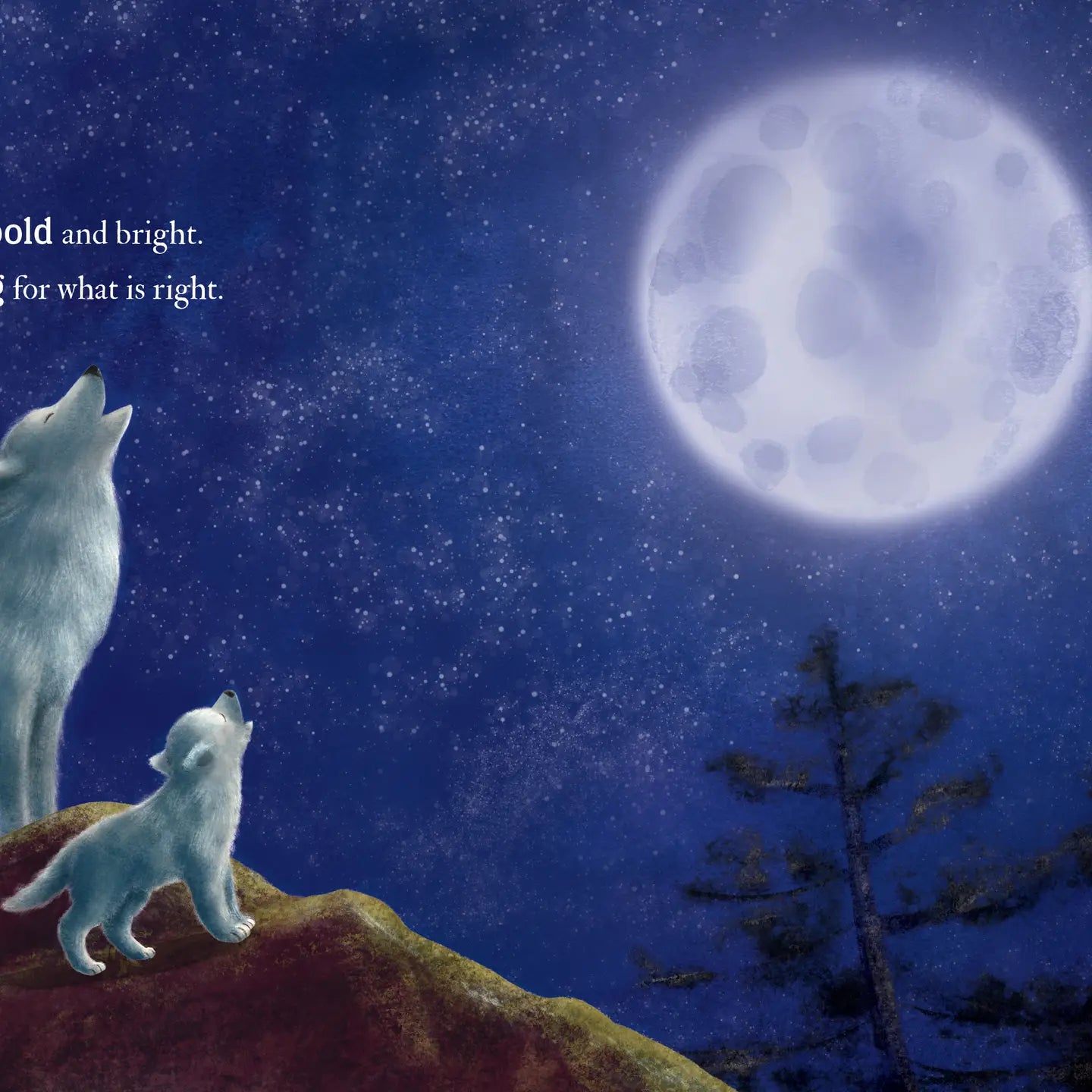 You're The Star in My Sky
