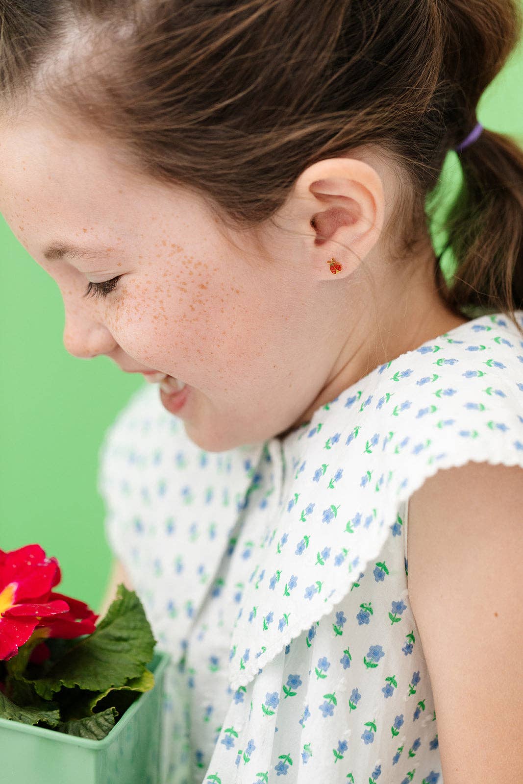 Pip Pop Post - Ladybug