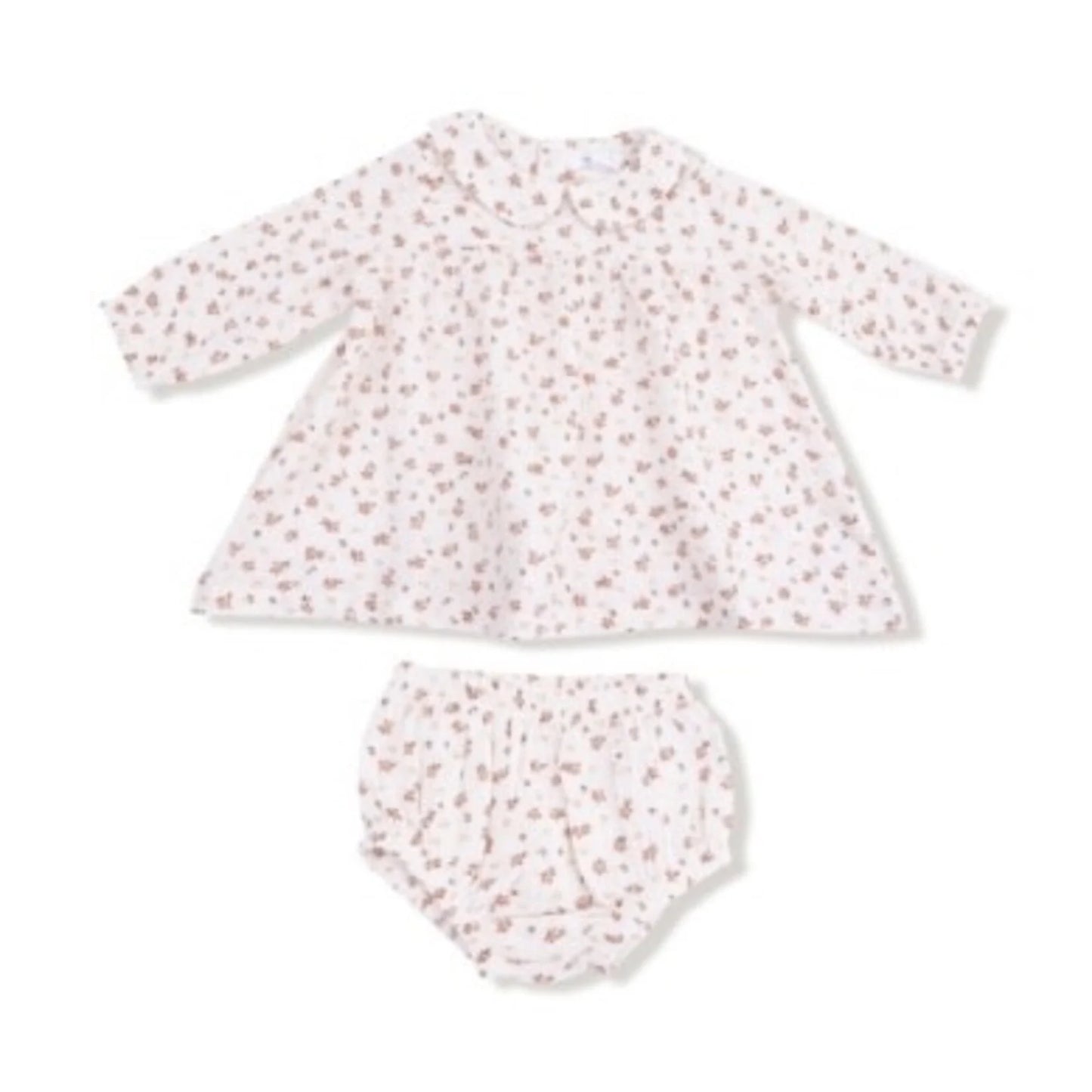 Peter Pan Collar Dress | Carrie Floral