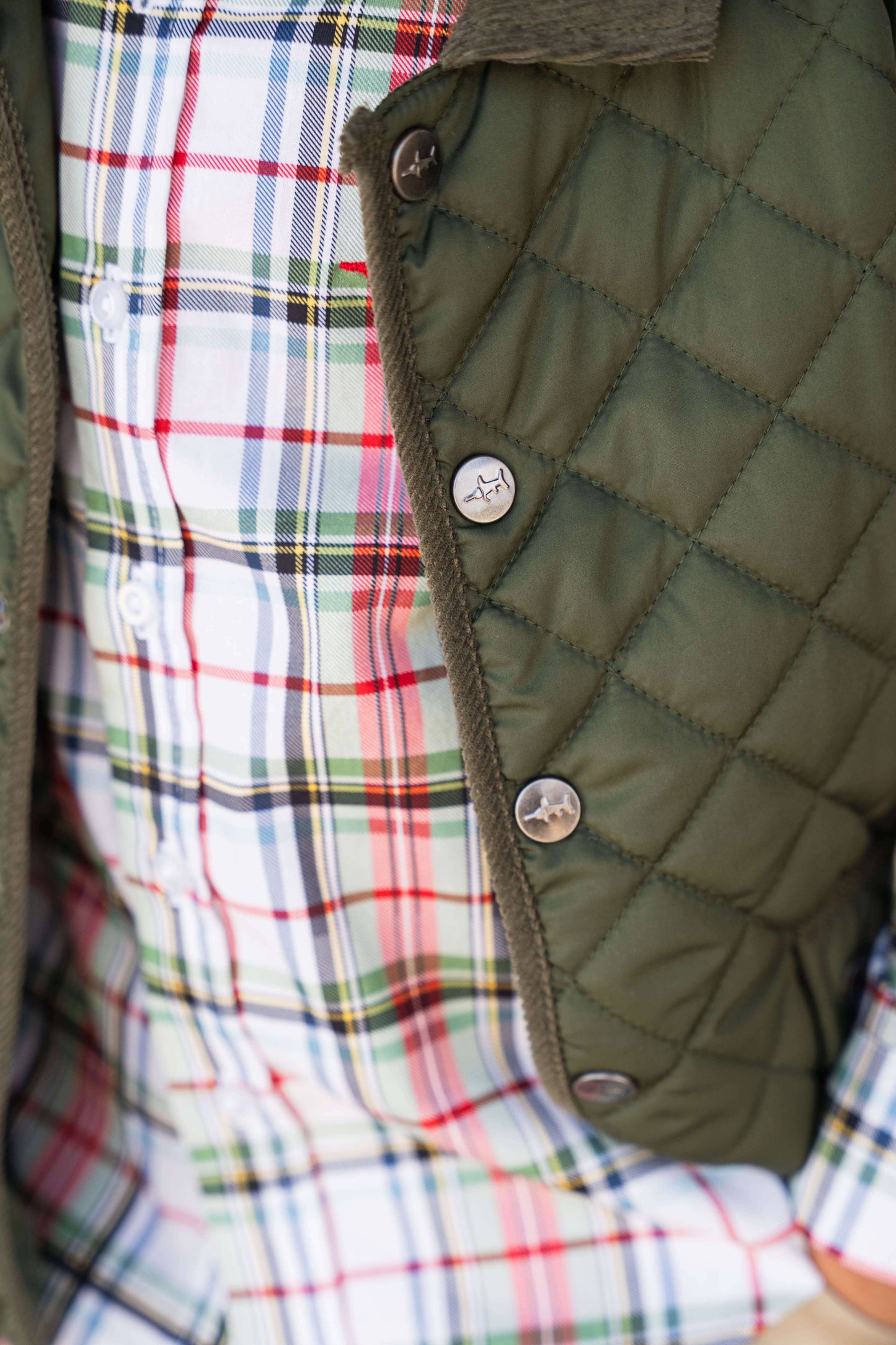 Derby Field Boys Vest | Green