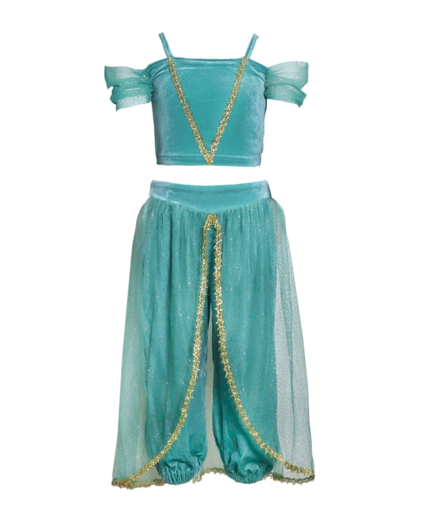 The Arabian Princess Costume