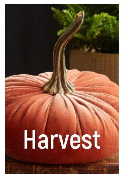 Handmade Small Velvet Pumpkins